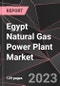 Egypt Natural Gas Power Plant Market Report - Market Analysis, Size, Share, Growth, Outlook - Industry Trends and Forecast to 2028 - Product Thumbnail Image