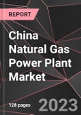 China Natural Gas Power Plant Market Report - Market Analysis, Size, Share, Growth, Outlook - Industry Trends and Forecast to 2028- Product Image