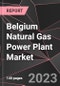 Belgium Natural Gas Power Plant Market Report - Market Analysis, Size, Share, Growth, Outlook - Industry Trends and Forecast to 2028 - Product Thumbnail Image