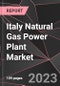 Italy Natural Gas Power Plant Market Report - Market Analysis, Size, Share, Growth, Outlook - Industry Trends and Forecast to 2028 - Product Thumbnail Image