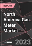North America Gas Meter Market Report - Market Analysis, Size, Share, Growth, Outlook - Industry Trends and Forecast to 2028- Product Image