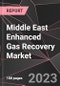 Middle East Enhanced Gas Recovery Market Report - Market Analysis, Size, Share, Growth, Outlook - Industry Trends and Forecast to 2028 - Product Thumbnail Image