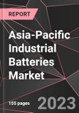 Asia-Pacific Industrial Batteries Market Report - Market Analysis, Size, Share, Growth, Outlook - Industry Trends and Forecast to 2028- Product Image