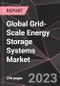 Global Grid-Scale Energy Storage Systems Market Report - Market Analysis, Size, Share, Growth, Outlook - Industry Trends and Forecast to 2028 - Product Image