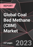 Global Coal Bed Methane (CBM) Market Report - Market Analysis, Size, Share, Growth, Outlook - Industry Trends and Forecast to 2028- Product Image