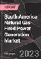 South America Natural Gas-Fired Power Generation Market Report - Market Analysis, Size, Share, Growth, Outlook - Industry Trends and Forecast to 2028 - Product Thumbnail Image