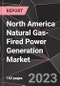 North America Natural Gas-Fired Power Generation Market Report - Market Analysis, Size, Share, Growth, Outlook - Industry Trends and Forecast to 2028 - Product Thumbnail Image