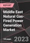 Middle East Natural Gas-Fired Power Generation Market Report - Market Analysis, Size, Share, Growth, Outlook - Industry Trends and Forecast to 2028 - Product Thumbnail Image