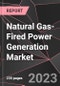 Natural Gas-Fired Power Generation Market Report - Market Analysis, Size, Share, Growth, Outlook - Industry Trends and Forecast to 2028 - Product Thumbnail Image