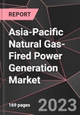 Asia-Pacific Natural Gas-Fired Power Generation Market Report - Market Analysis, Size, Share, Growth, Outlook - Industry Trends and Forecast to 2028- Product Image