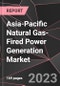 Asia-Pacific Natural Gas-Fired Power Generation Market Report - Market Analysis, Size, Share, Growth, Outlook - Industry Trends and Forecast to 2028 - Product Thumbnail Image