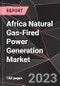 Africa Natural Gas-Fired Power Generation Market Report - Market Analysis, Size, Share, Growth, Outlook - Industry Trends and Forecast to 2028 - Product Thumbnail Image