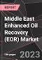 Middle East Enhanced Oil Recovery (EOR) Market Report - Market Analysis, Size, Share, Growth, Outlook - Industry Trends and Forecast to 2028 - Product Thumbnail Image