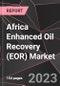 Africa Enhanced Oil Recovery (EOR) Market Report - Market Analysis, Size, Share, Growth, Outlook - Industry Trends and Forecast to 2028 - Product Thumbnail Image