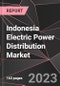 Indonesia Electric Power Distribution Market Report - Market Analysis, Size, Share, Growth, Outlook - Industry Trends and Forecast to 2028 - Product Thumbnail Image