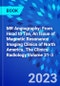 MR Angiography: From Head to Toe, An Issue of Magnetic Resonance Imaging Clinics of North America. The Clinics: Radiology Volume 31-3 - Product Image