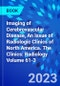 Imaging of Cerebrovascular Disease, An Issue of Radiologic Clinics of North America. The Clinics: Radiology Volume 61-3 - Product Image