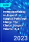 Hematopathology, An Issue of Surgical Pathology Clinics. The Clinics: Surgery Volume 16-2 - Product Image