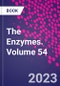 The Enzymes. Volume 54 - Product Thumbnail Image