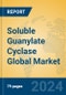 Soluble Guanylate Cyclase Global Market Insights 2024, Analysis and Forecast to 2029, by Manufacturers, Regions, Technology, Application, Product Type - Product Image