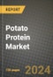 Potato Protein Market: Industry Size, Share, Competition, Trends, Growth Opportunities and Forecasts by Region - Insights and Outlook by Product, 2024 to 2031 - Product Image