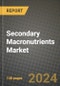 2024 Secondary Macronutrients Market Outlook Report: Industry Size, Market Shares Data, Insights, Growth Trends, Opportunities, Competition 2023 to 2031 - Product Image