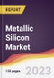 Metallic Silicon Market: Trends, Opportunities and Competitive Analysis 2023-2028 - Product Thumbnail Image