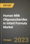 Human Milk Oligosaccharides In Infant Formula Market Size & Market Share Data, Latest Trend Analysis and Future Growth Intelligence Report - Forecast by Type, by Applications, Analysis and Outlook from 2023 to 2030 - Product Image
