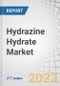 Hydrazine Hydrate Market by Concentration Level (24%-35%, 40%-55%, 60%-85% & 100%), Application (Polymerization & Blowing Agents, Pharmaceuticals, Agrochemicals, Water Treatment), and Region (Asia Pacific, North America, Europe) - Global Forecast to 2027 - Product Image