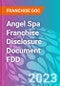 Angel Spa Franchise Disclosure Document FDD - Product Thumbnail Image
