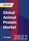 Global Animal Protein Market Size, Share, and Growth Analysis by Type, Application, and Region - Industry Forecast 2023-2030 - Product Image