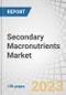 Secondary Macronutrients Market by Nutrient (Calcium, Magnesium, and Sulfur), Crop Type (Cereals and Grains, Oilseeds and Pulses, Fruits and Vegetables), Mode of Application (Solid and Liquid), Form and Region - Global Forecast to 2028 - Product Thumbnail Image