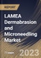 LAMEA Dermabrasion and Microneedling Market Size, Share & Industry Trends Analysis Report By End User, By Application, By Procedure (Dermabrasion and Microneedling), By Gender (Female and Male), By Country and Growth Forecast, 2023-2029 - Product Image