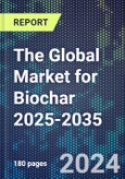 The Global Market for Biochar 2025-2035- Product Image