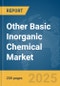 Other Basic Inorganic Chemical Market Report 2025 - Product Thumbnail Image