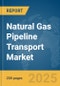 Natural Gas Pipeline Transport Market Report 2025 - Product Image
