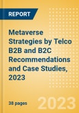 Metaverse Strategies by Telco B2B and B2C Recommendations and Case Studies, 2023- Product Image
