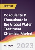 Coagulants & Flocculants in the Global Water Treatment Chemical Market: Trends, Opportunities and Competitive Analysis 2023-2028- Product Image