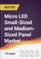 Micro LED Small-Sized and Medium-Sized Panel Market: Trends, Opportunities and Competitive Analysis 2023-2028 - Product Thumbnail Image