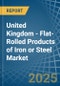 United Kingdom - Flat-Rolled Products of Iron or Steel (Not Further Worked than Cold-Rolled) - Market Analysis, Forecast, Size, Trends and Insights - Product Image