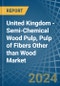 United Kingdom - Semi-Chemical Wood Pulp, Pulp of Fibers Other than Wood - Market Analysis, Forecast, Size, Trends and Insights - Product Image