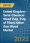 United Kingdom - Semi-Chemical Wood Pulp, Pulp of Fibers Other than Wood - Market Analysis, Forecast, Size, Trends and Insights - Product Thumbnail Image