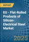 EU - Flat-Rolled Products of Silicon-Electrical Steel - Market Analysis, Forecast, Size, Trends and Insights - Product Image