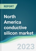 North America conductive silicon market - Forecasts from 2023 to 2028- Product Image