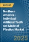 Northern America - Individual Artificial Teeth not Made of Plastics - Market Analysis, Forecast, Size, Trends and Insights - Product Image