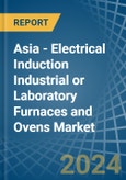 Asia - Electrical Induction Industrial or Laboratory Furnaces and Ovens - Market Analysis, Forecast, Size, Trends and Insights- Product Image