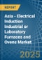 Asia - Electrical Induction Industrial or Laboratory Furnaces and Ovens - Market Analysis, Forecast, Size, Trends and Insights - Product Image