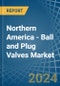 Northern America - Ball and Plug Valves - Market Analysis, Forecast, Size, Trends and Insights - Product Image