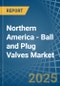 Northern America - Ball and Plug Valves - Market Analysis, Forecast, Size, Trends and Insights - Product Thumbnail Image