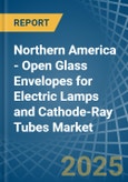 Northern America - Open Glass Envelopes for Electric Lamps and Cathode-Ray Tubes - Market Analysis, forecast, Size, Trends and Insights- Product Image